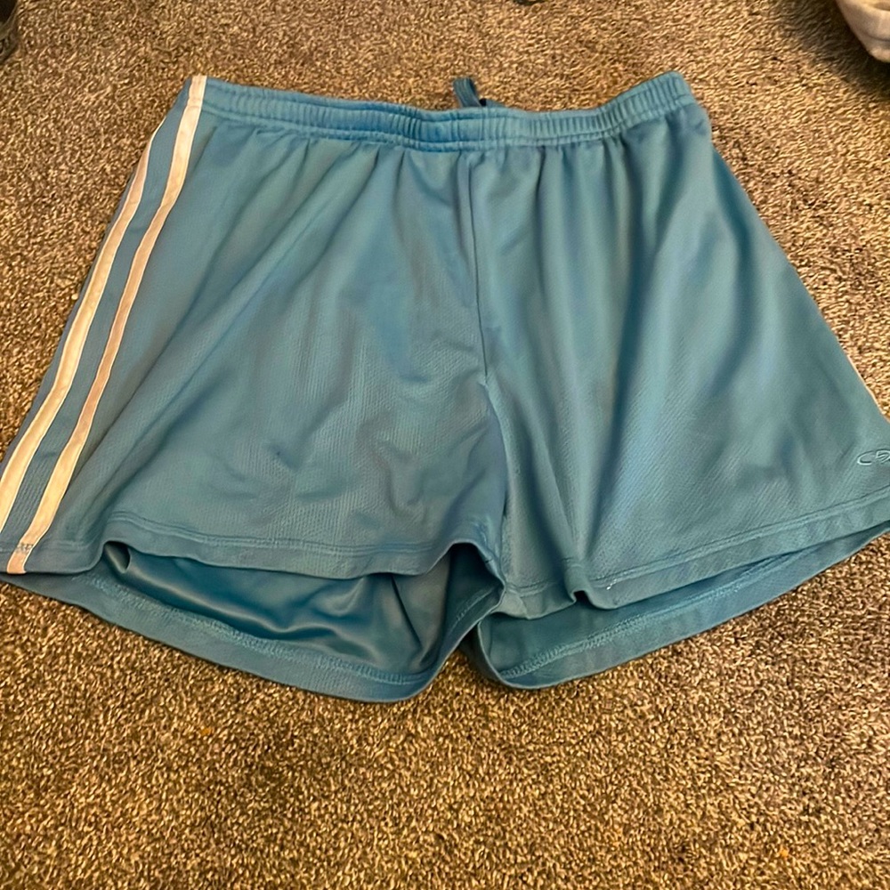 Champion gym shorts